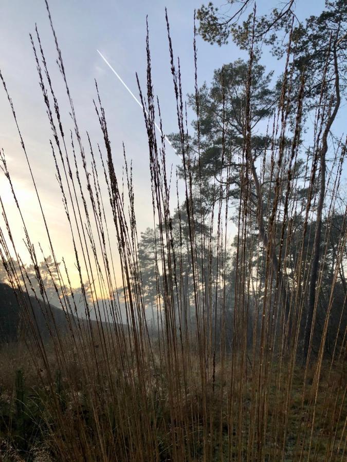 Het Natuurhuisje Op De Veluwe Nunspeet Exteriör bild