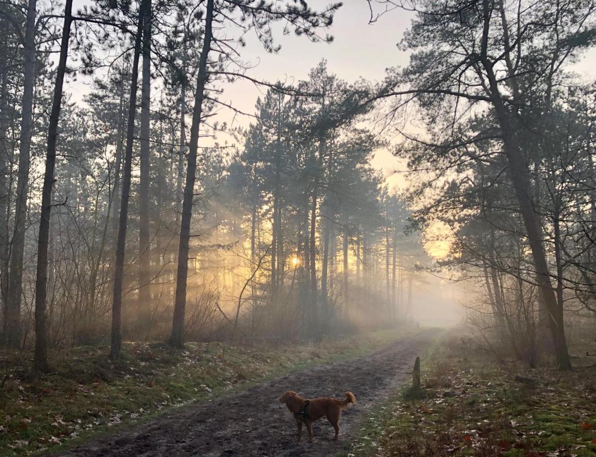 Het Natuurhuisje Op De Veluwe Nunspeet Exteriör bild