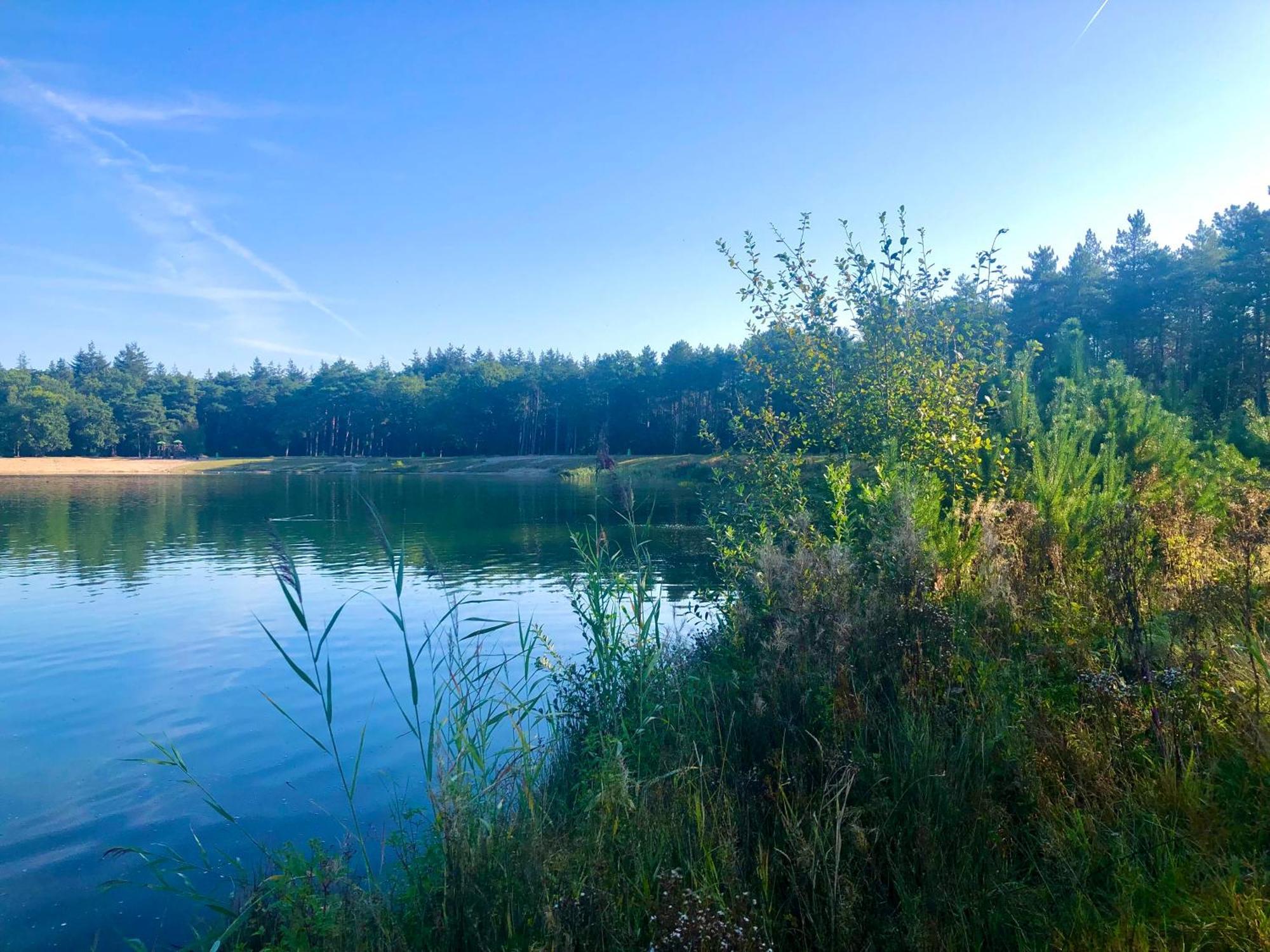 Het Natuurhuisje Op De Veluwe Nunspeet Exteriör bild
