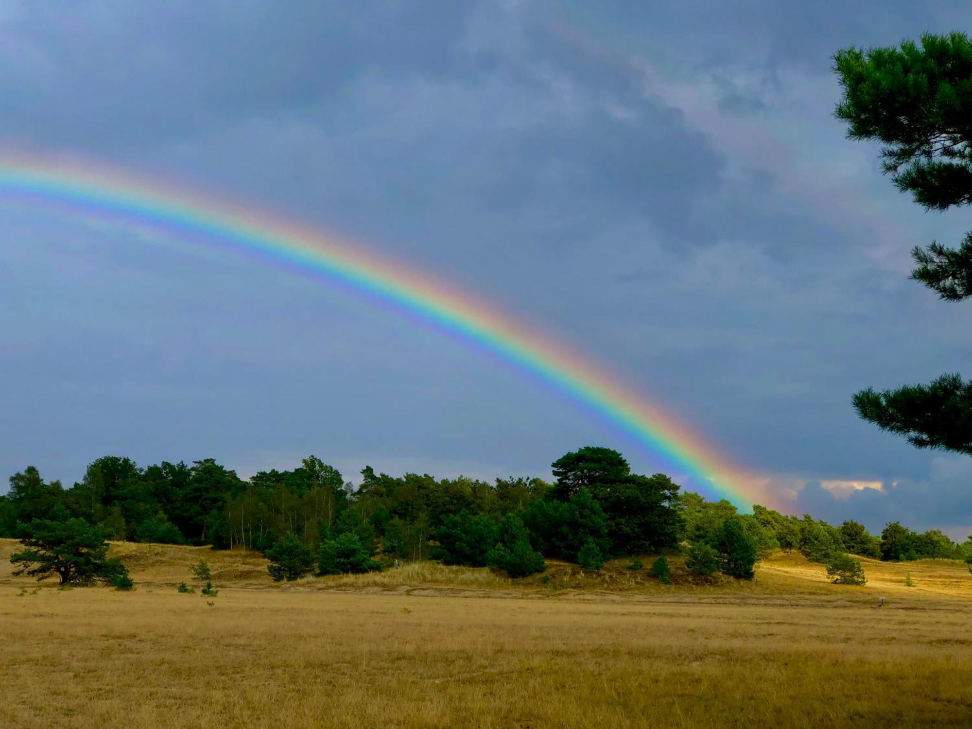 Het Natuurhuisje Op De Veluwe Nunspeet Exteriör bild