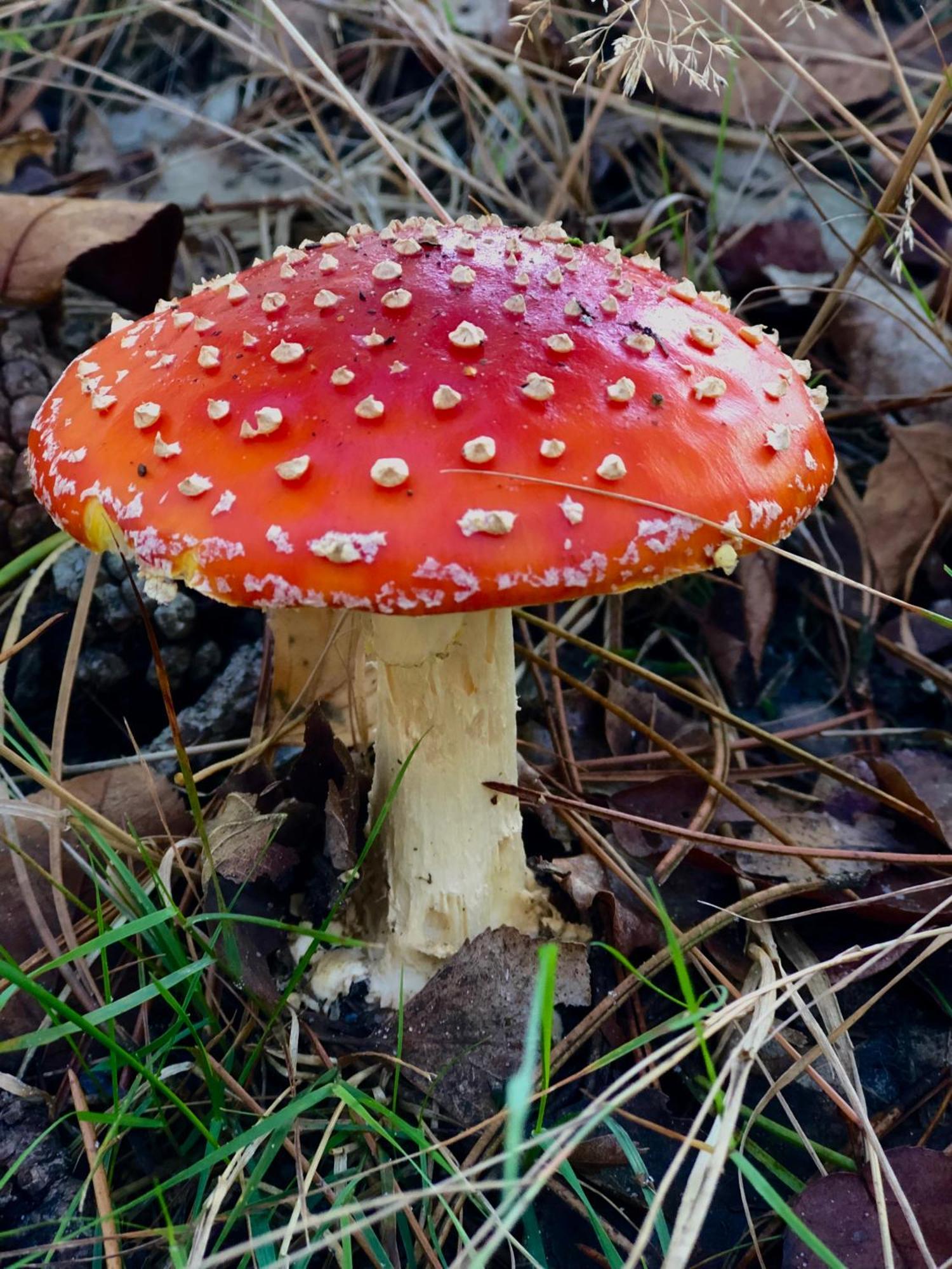 Het Natuurhuisje Op De Veluwe Nunspeet Exteriör bild