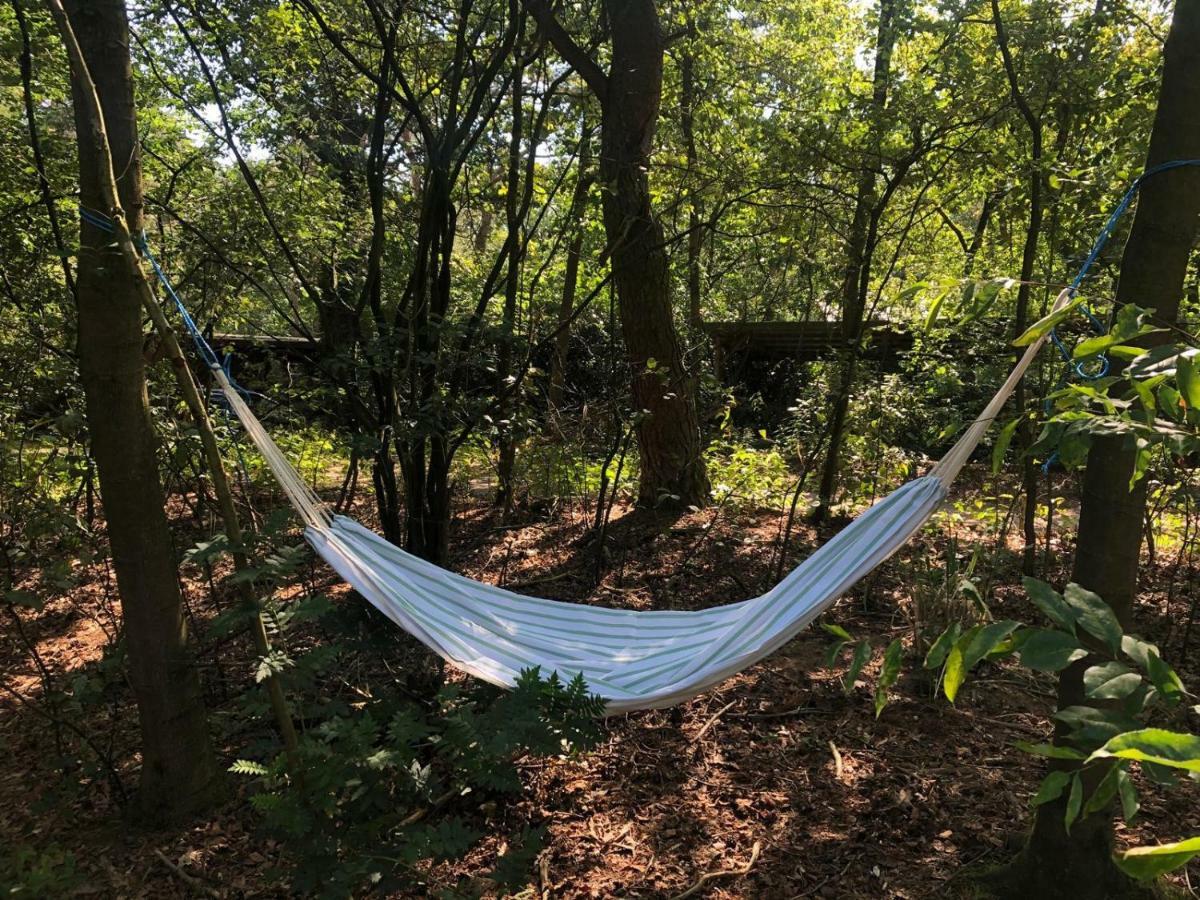 Het Natuurhuisje Op De Veluwe Nunspeet Exteriör bild